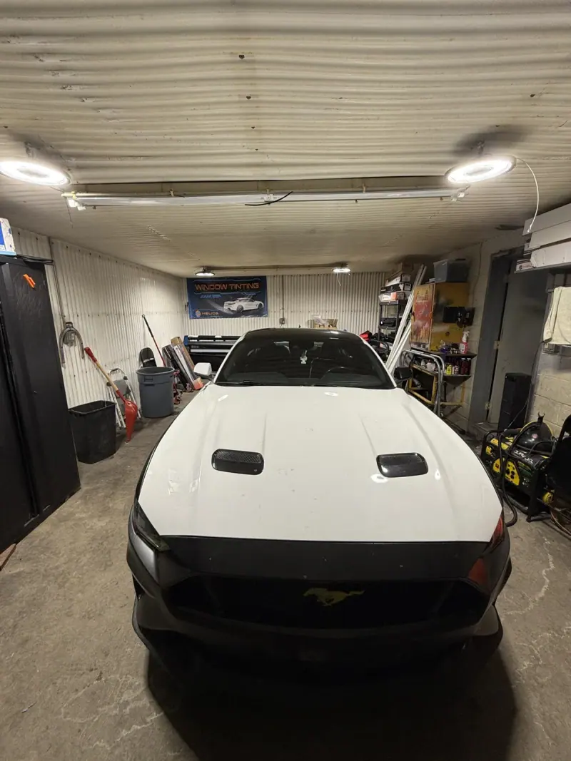 White Ford Mustang inside the shop bay